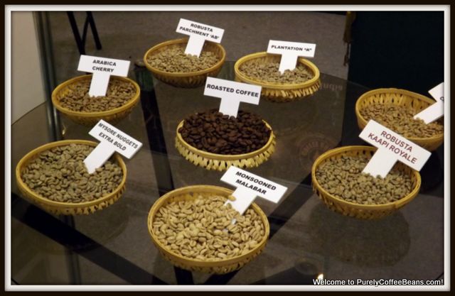 indian-coffee-samples