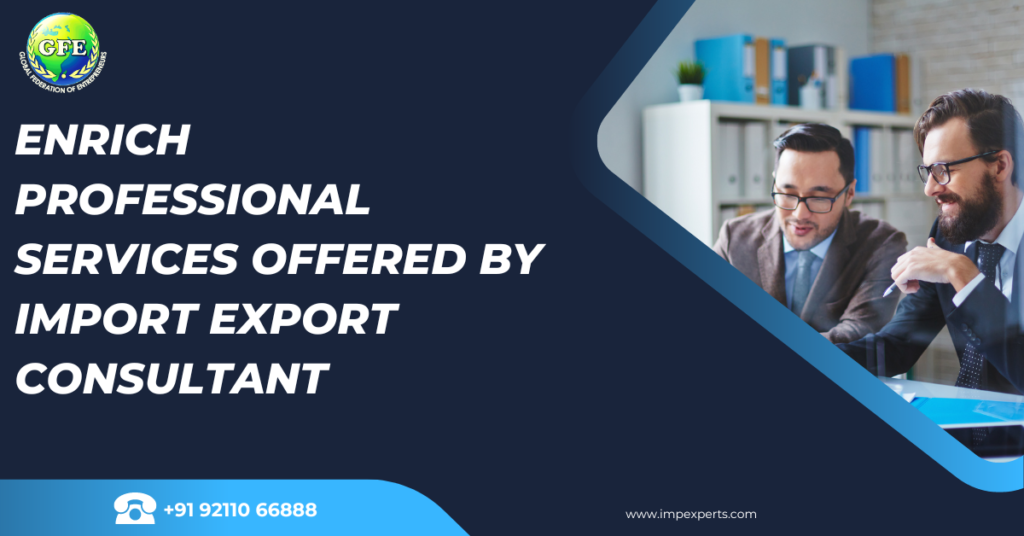 Import export consultant