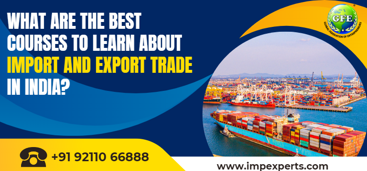 learn about import and export trade in India