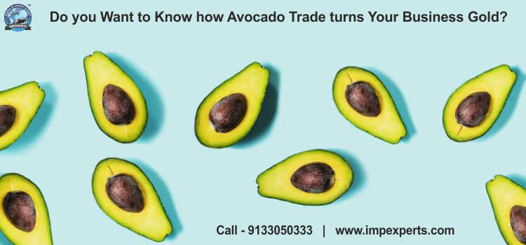 Why is Avocado considered as the ‘Green Gold’ in the import export market?