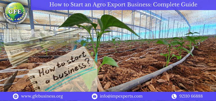 How to Start an Agro Export Business: Complete Guide