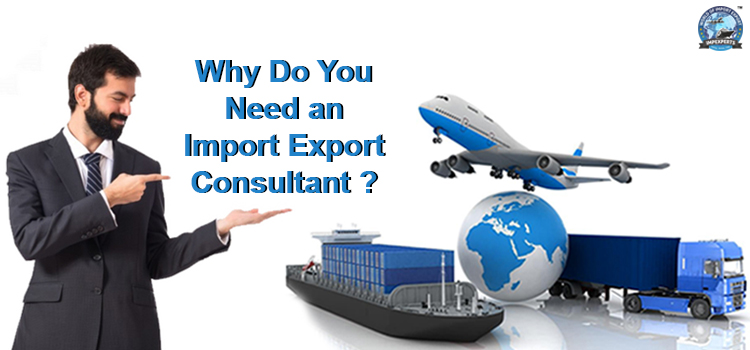 Why Do You Need an Import Export Consultant?