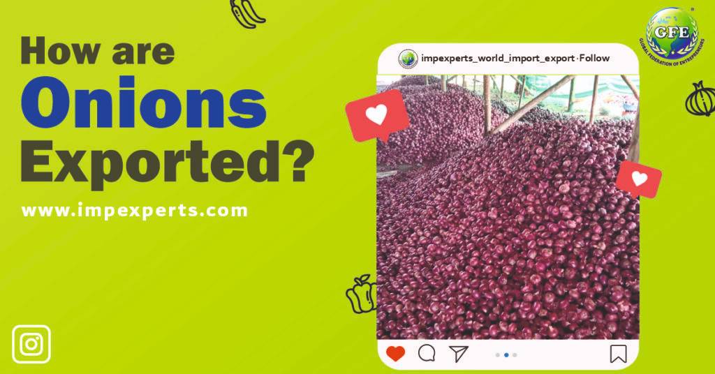 Onion Export, How are onions exported?