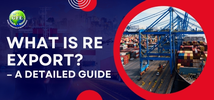 What is Re Export? A Detailed Guide