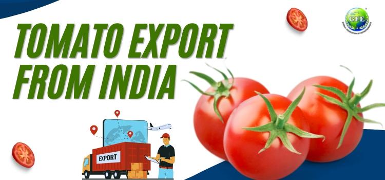 Tomato Export from India: A Bright Star in The International Market