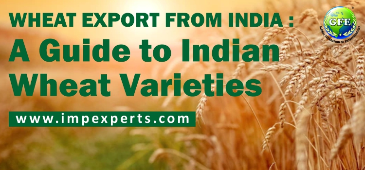 Wheat Export from India: A Guide to Indian Wheat Varieties