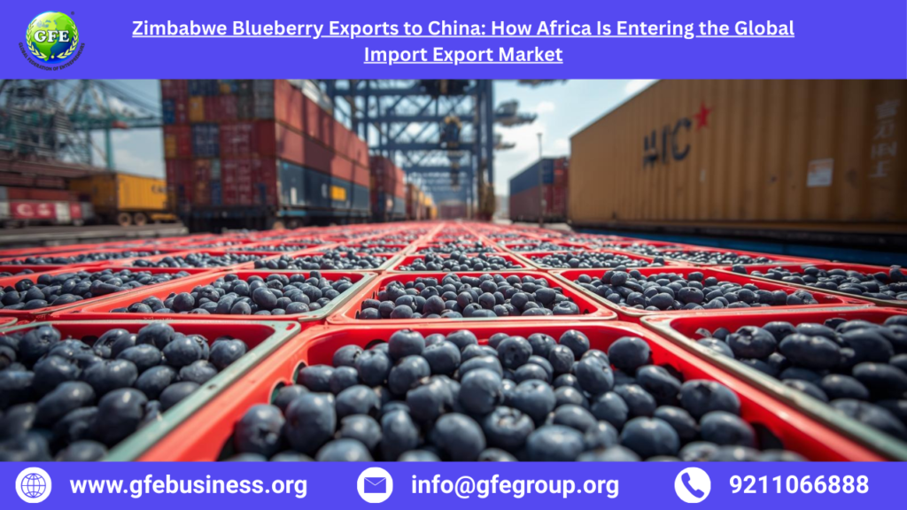 Zimbabwe Blueberry Exports to China: How Africa Is Entering the Global Import Export Market
